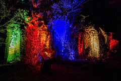 byStudioMT.de (19 von 28)