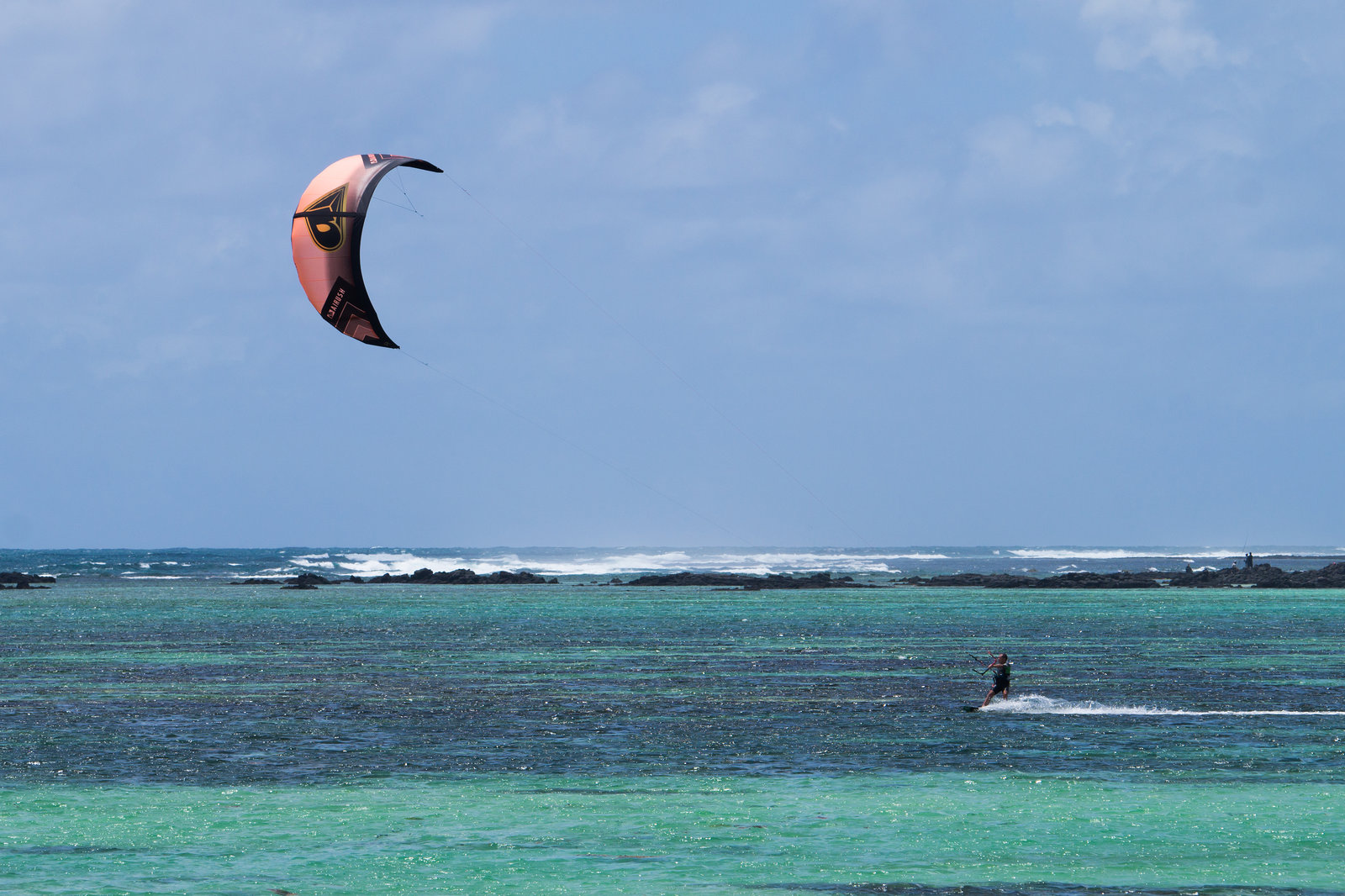 Mauritius Palmar DSC08437