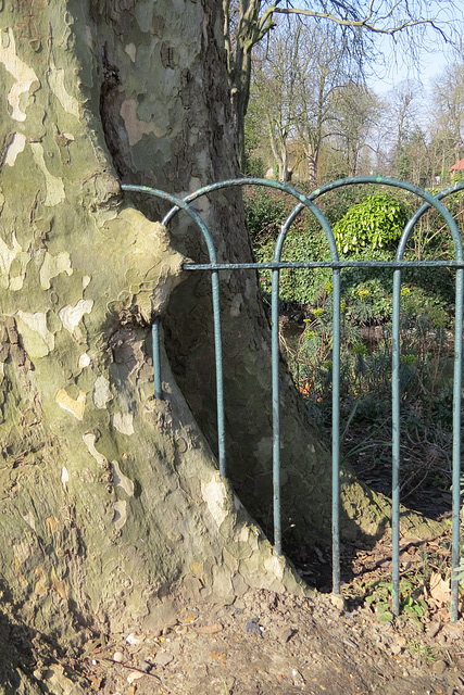 lloyd park, walthamstow, london