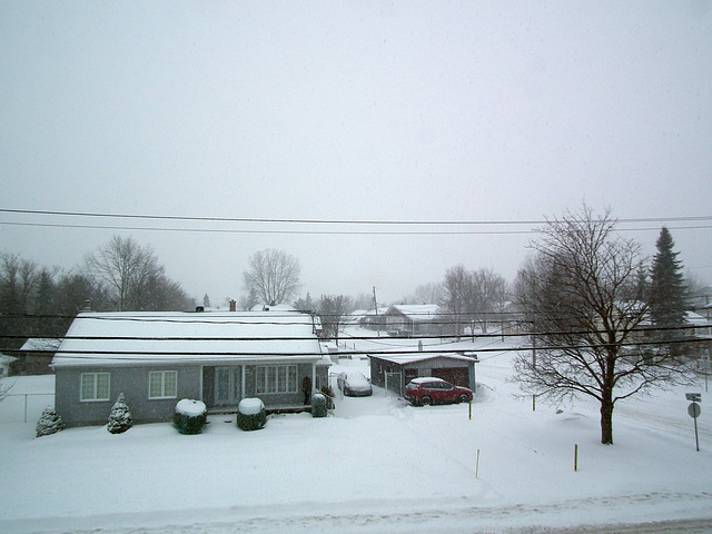 pendant la tempête / during the snowstorm