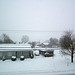 pendant la tempête / during the snowstorm