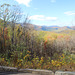 The Great Smokey Mountains around Gatlinburg, Tennessee ~~~~ USA