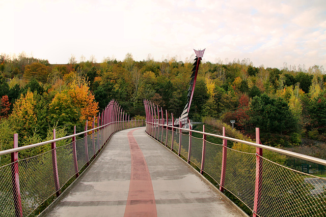 Drachenbrücke zur Halde Hoheward (Recklinghausen-Hochlarmark) /15.10.2018