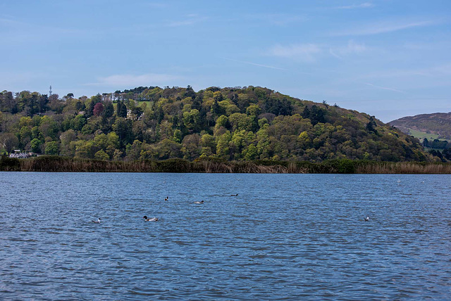 Rspb Conway, lagoon