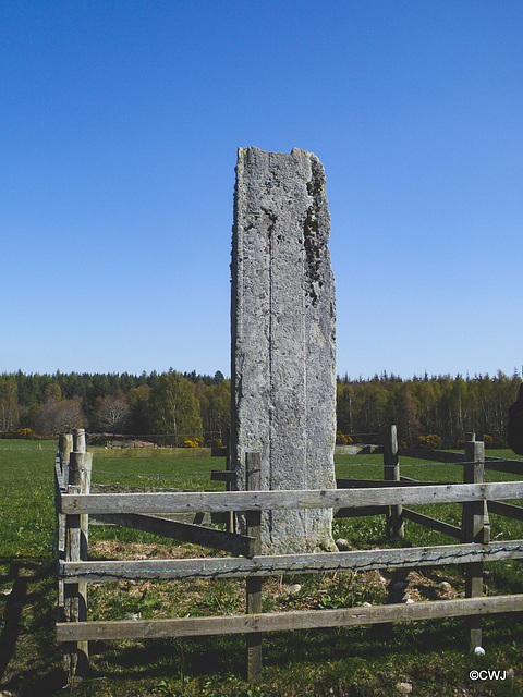 The ancient standing stone on the Altyre estate