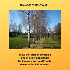 Album 365 / 2022 - Tag 44.