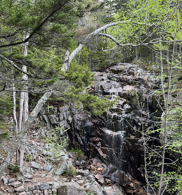 Waterfall, Acadia National Park