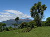 NP Tongariro and lake Rotoaira