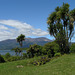 NP Tongariro and lake Rotoaira