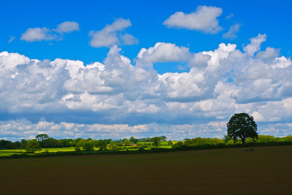 Summer clouds