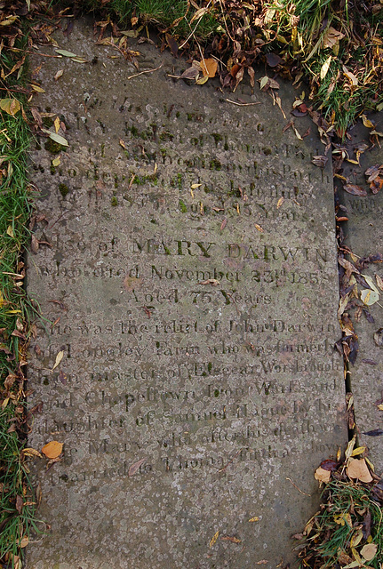 Memorial to John and Mary Darwin of Chapeltown Ironworks and Elsecar  Works, Tankersley Churchyard, South Yorkshire