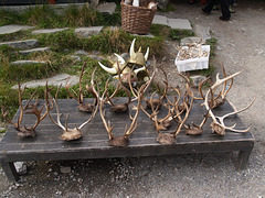 Trollstigen Souvenir