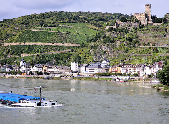 Vallée du Rhin / Rheintal (D) 10 septembre 2010.