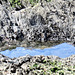 Great rock pool