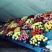 Birmingham Flower Show (Scan from 1970s)