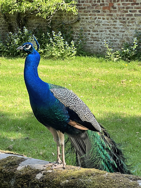 Enjoying the sunshine