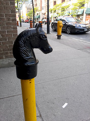 Canada 2016 – Toronto – Horse