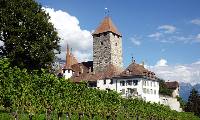 Schloss Spiez