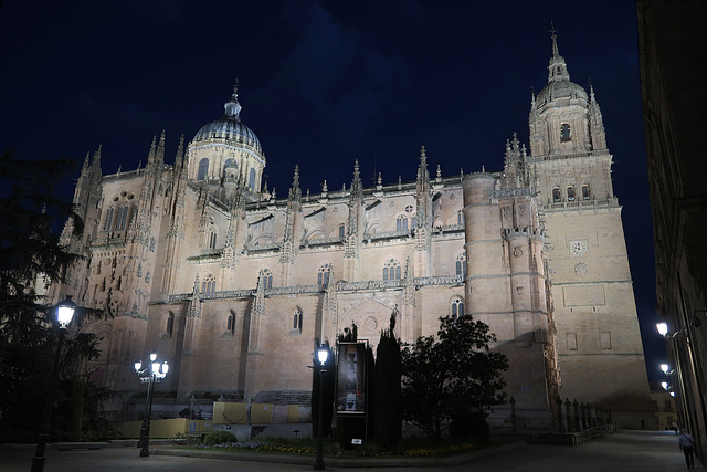 The Cathedral at night