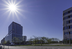 morgens in der Überseeallee HafenCity Hamburg (© Buelipix)