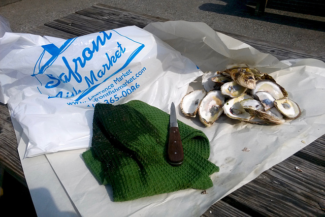 Canada 2016 – Toronto – Oysters from the market