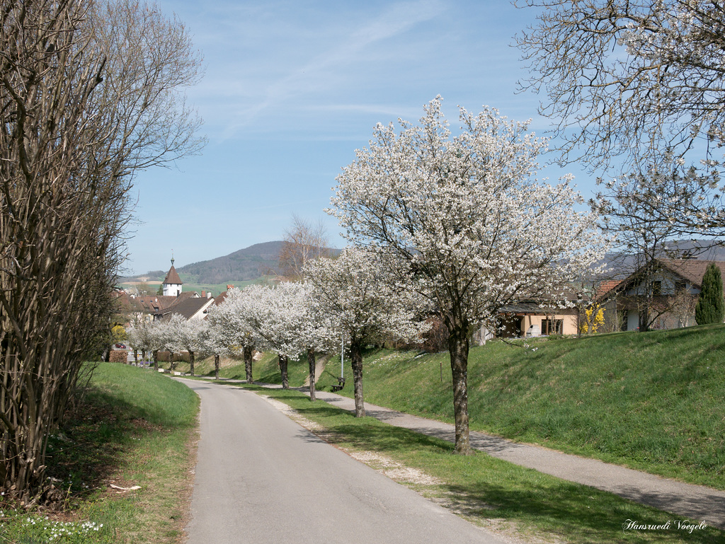Am Kirchweg