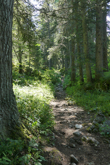 20170718 -23 Randos St Agnan en Vercors (19) al