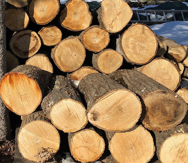 Warm Wood