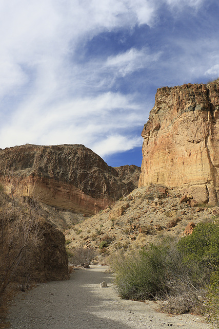 Burro Mesa Hike