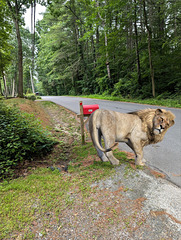 Red Mailbox