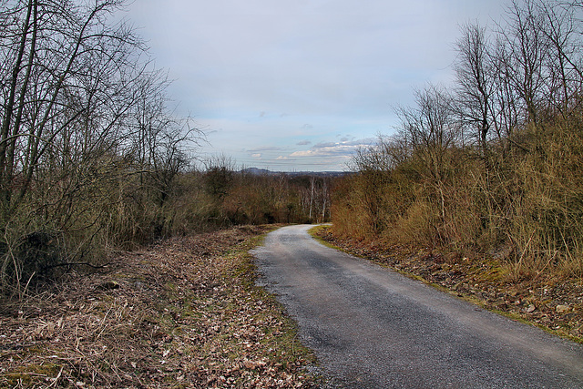 Zufahrtsweg auf der Schurenbachhalde (Essen-Altenessen) / 2.03.2024