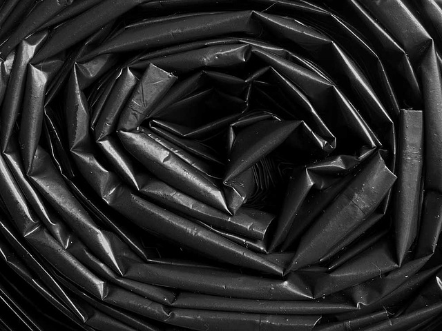 A black rose