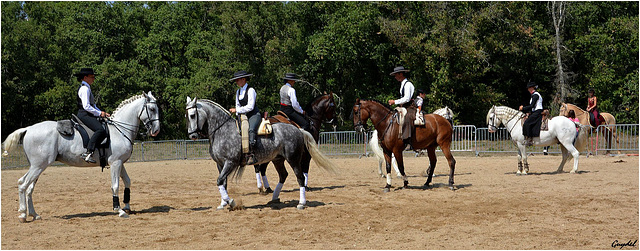 Travail d'Equipe ! ( Cliquez pour voir en grand )