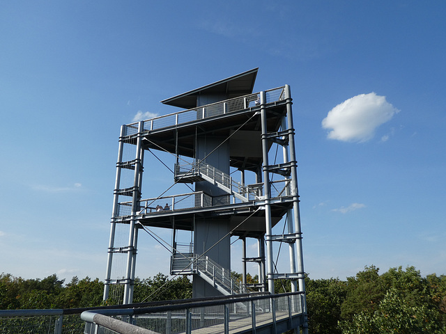 Baumwipfelpfad in Beelitz-Heilstätten