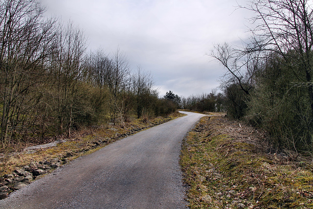 Schurenbachhalde, Essen-Altenessen / 2.03.2024