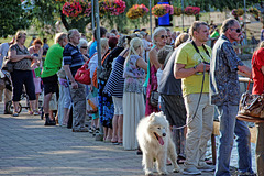 die einen interessierts, die anderen nicht ... Emajõgi Festival - Tartu (© Buelipix)