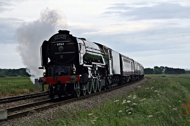 The A1 trust class A1 4-6-2 60163 TORNADO on late running (48mins) 1Z64 Scarborough - Kings Cross The Yorkshire Pullman at Willerby Carr Crossing 15th June 2019.