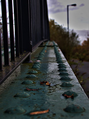 On The Bridge....In Blue