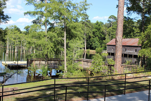 HFF EVERYONE !!     (Lake and walking trails at the George L. Smith State Park.... just out of Twin City, Georgia