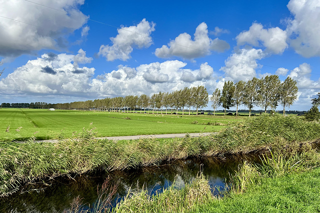 View of the Middelweg