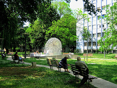 HBM from the deep shade and refreshment by the fountain