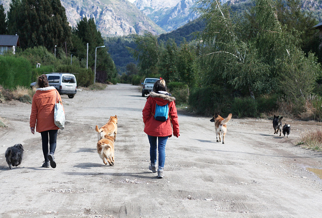 Walk to the river