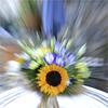Explosion solaire - Solare Explosion - Solar flare