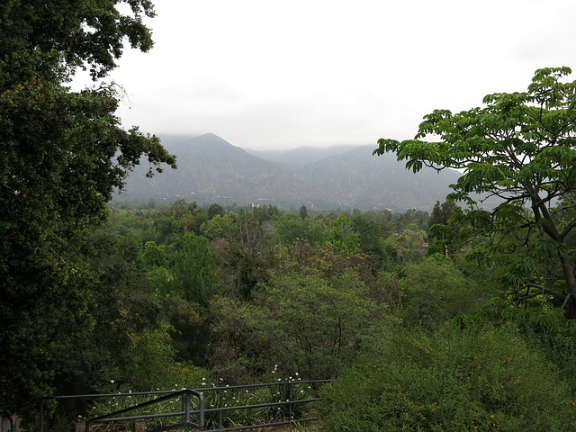 L.A. County Arboretum (0935)