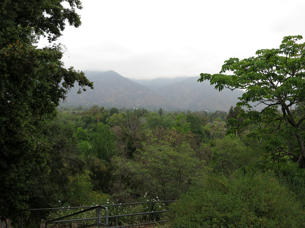 L.A. County Arboretum (0935)