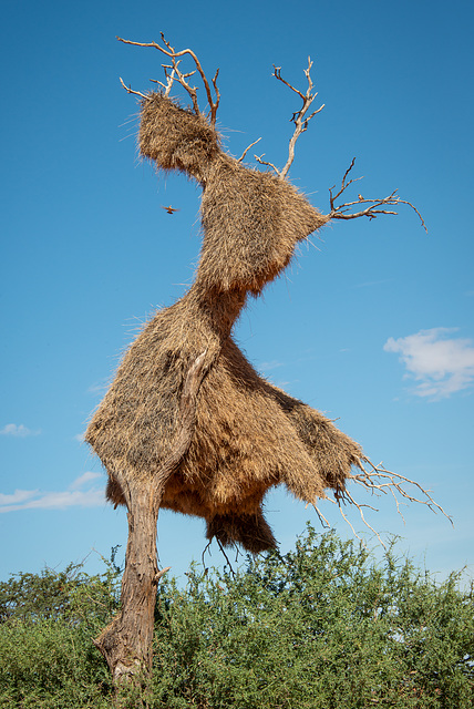 Namibia 2019