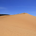 Coral Pink Sand Dunes