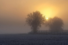 In fog and sunset