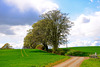 Knightley Farm, Gnosall