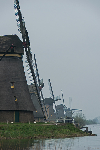 Kinderdijk (© Buelipix)